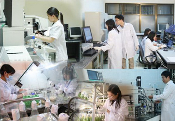 Đề xuất hướng dẫn quản lý Dự án khoa học và công nghệ cấp quốc gia