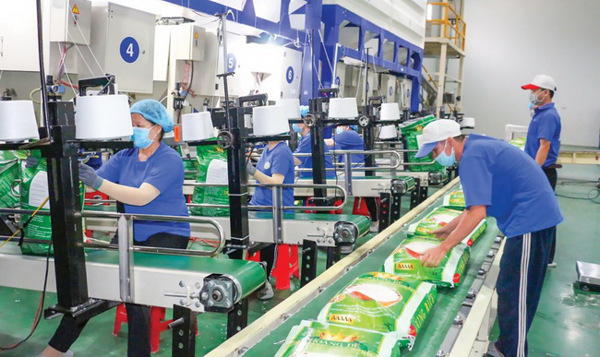 Xây dựng thương hiệu gạo quốc gia: Bắt đầu từ đâu?