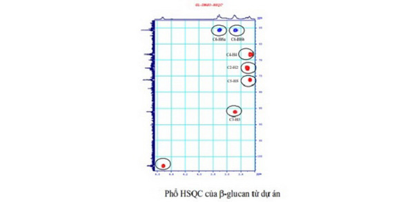 Hoàn thiện công nghệ bán tổng hợp β-glucan sulfat từ nấm men Saccharomyces cerevisiae làm nguyên liệu hỗ trợ điều trị ung thư