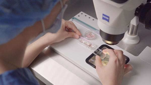 Rã đông phôi đông lạnh bằng “thủy tinh hóa” Cryotec RtU đạt 100%, tăng cơ hội cho bệnh nhân hiếm muộn