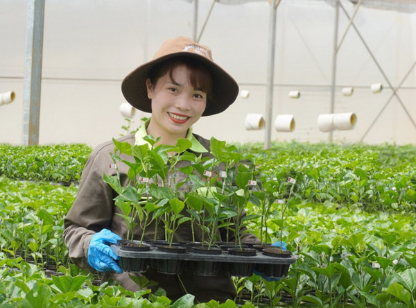 Khi khoa học gặp gỡ cuộc sống