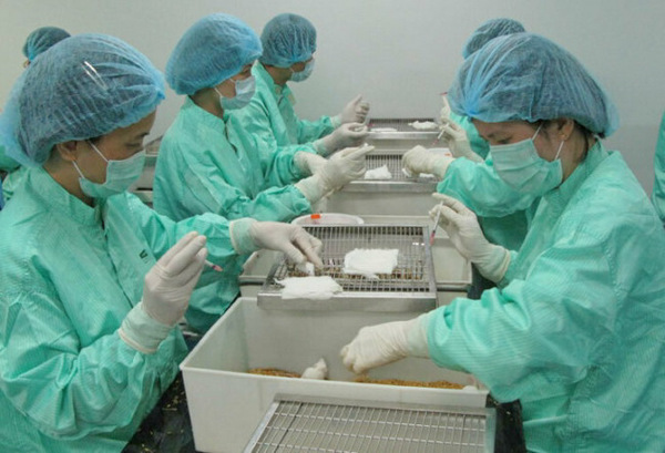 Cơ hội tham gia nghiên cứu sản xuất vaccine cho người