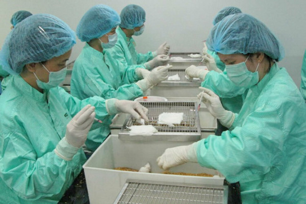 Sáng kiến khoa học 2024 thu hút nhiều giải pháp lĩnh vực y sinh