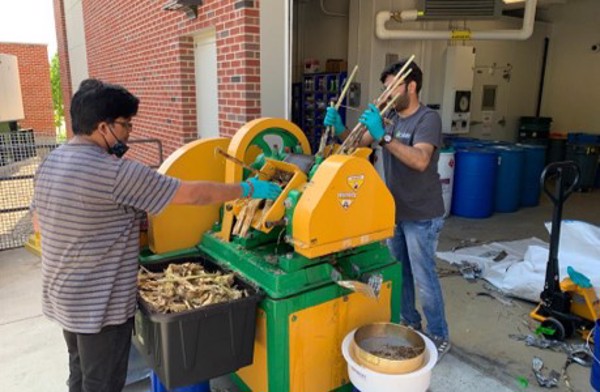 Quy trình mới sản xuất axit hữu cơ giá trị cao từ thực vật