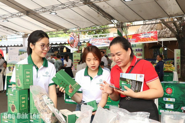 Gam màu sáng trong bức tranh khởi nghiệp đổi mới sáng tạo