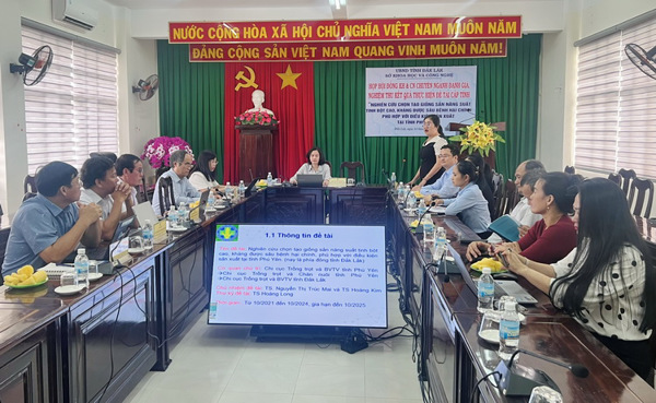 Nghiệm thu đề tài chọn tạo giống sắn mới phục vụ sản xuất