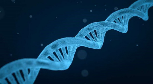 Đột biến gen BRCA1 có thể không phải là yếu tố quyết định gây ung thư tuyến tiền liệt