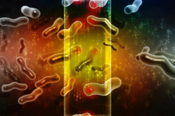 Cứu vi sinh vật: Bước tiến quan trọng nhất trong bảo tồn đa dạng sinh học