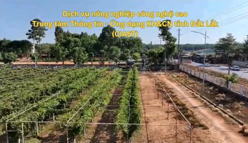 Dịch vụ máy bay nông nghiệp