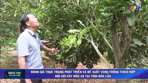 Số 03_2025: Đánh giá thực trạng phát triển và đề xuất vùng trồng thích hợp đối với cây Mắc Ca tại tỉnh Đắk Lắk