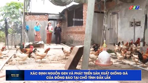 Số 04/2025: Xác định nguồn gen và phát triển sản xuất giống gà của đồng bào tại chỗ tỉnh Đắk Lắ