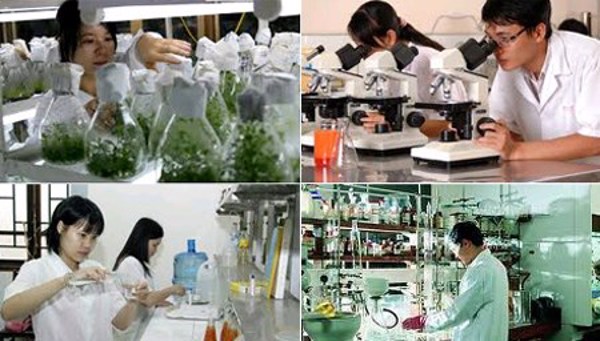 Quản lý tài sản hình thành từ thực hiện nhiệm vụ khoa học và công nghệ