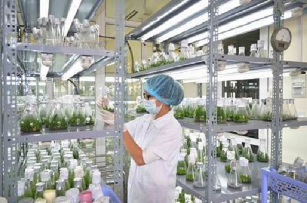 Nguyên tắc xây dựng Cơ sở dữ liệu quốc gia về khoa học và công nghệ