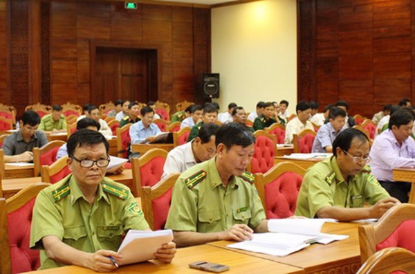 Năm 2017, toàn tỉnh phấn đấu trồng 4.883 ha rừng