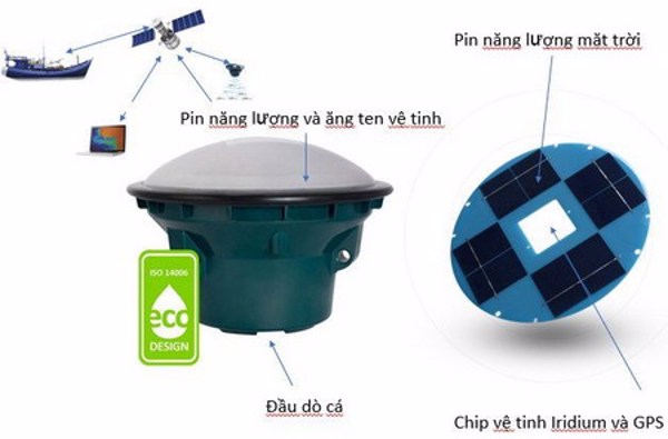 Khai thác cá hiệu quả gấp 3 lần nhờ ứng dụng công nghệ vệ tinh