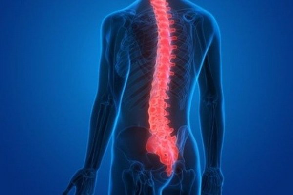 Vật liệu sinh học mới điều trị chấn thương tủy sống