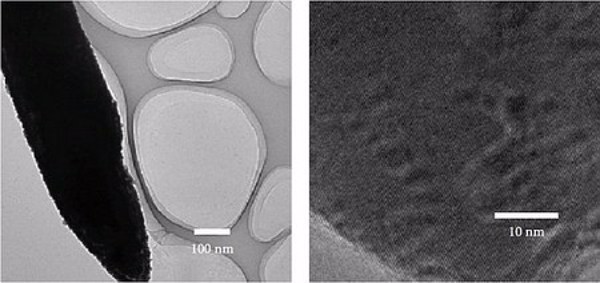 Cảm biến sinh học trên cơ sở dây nano ZnO và SnO2 biến tính nhằm phát hiện nhanh một số vi khuẩn gây bệnh