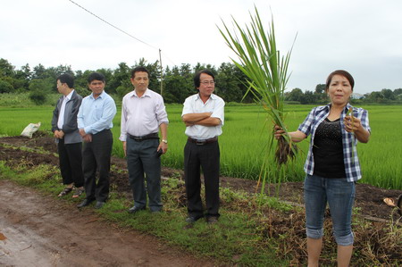 Đại diện lãnh đạo, các phòng, đơn vị của Sở KH&CN đến tham dự
