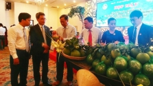 Các đại biểu thăm quan sản phẩm dừa xiêm xanh được bảo hộ chỉ dẫn địa lý Bến Tre